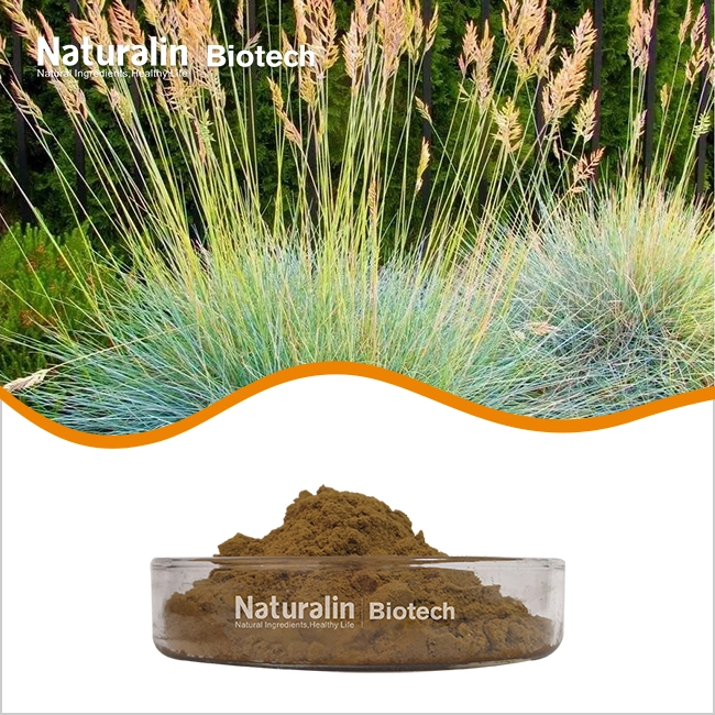 Cacumen Platycladi Extract
